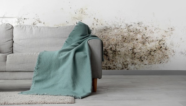 Aislamiento-pared con moho